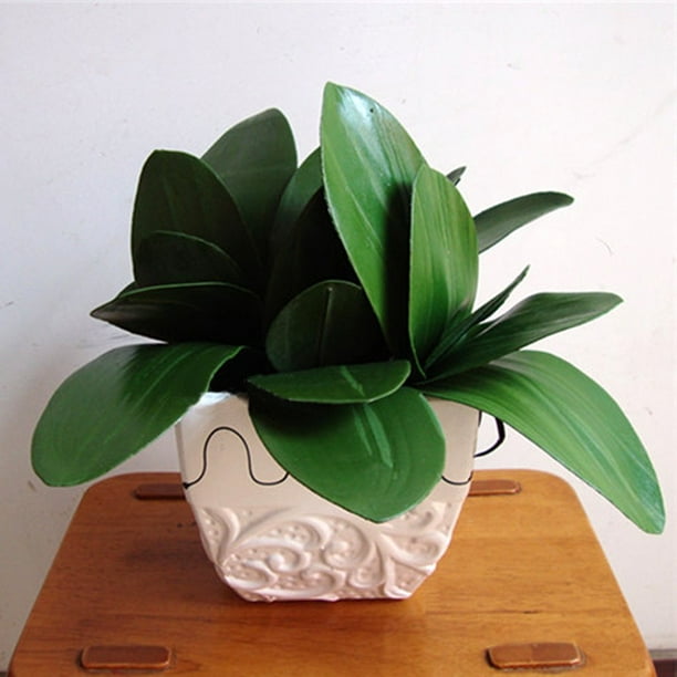 1 Branch Green Artificial Butterfly Orchid Leaf Simulation Grass Decor